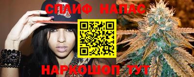 индика Аргун